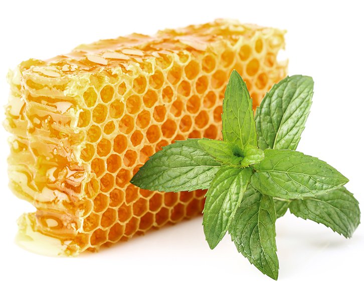 Madu Sarang Asli Apis Melifera