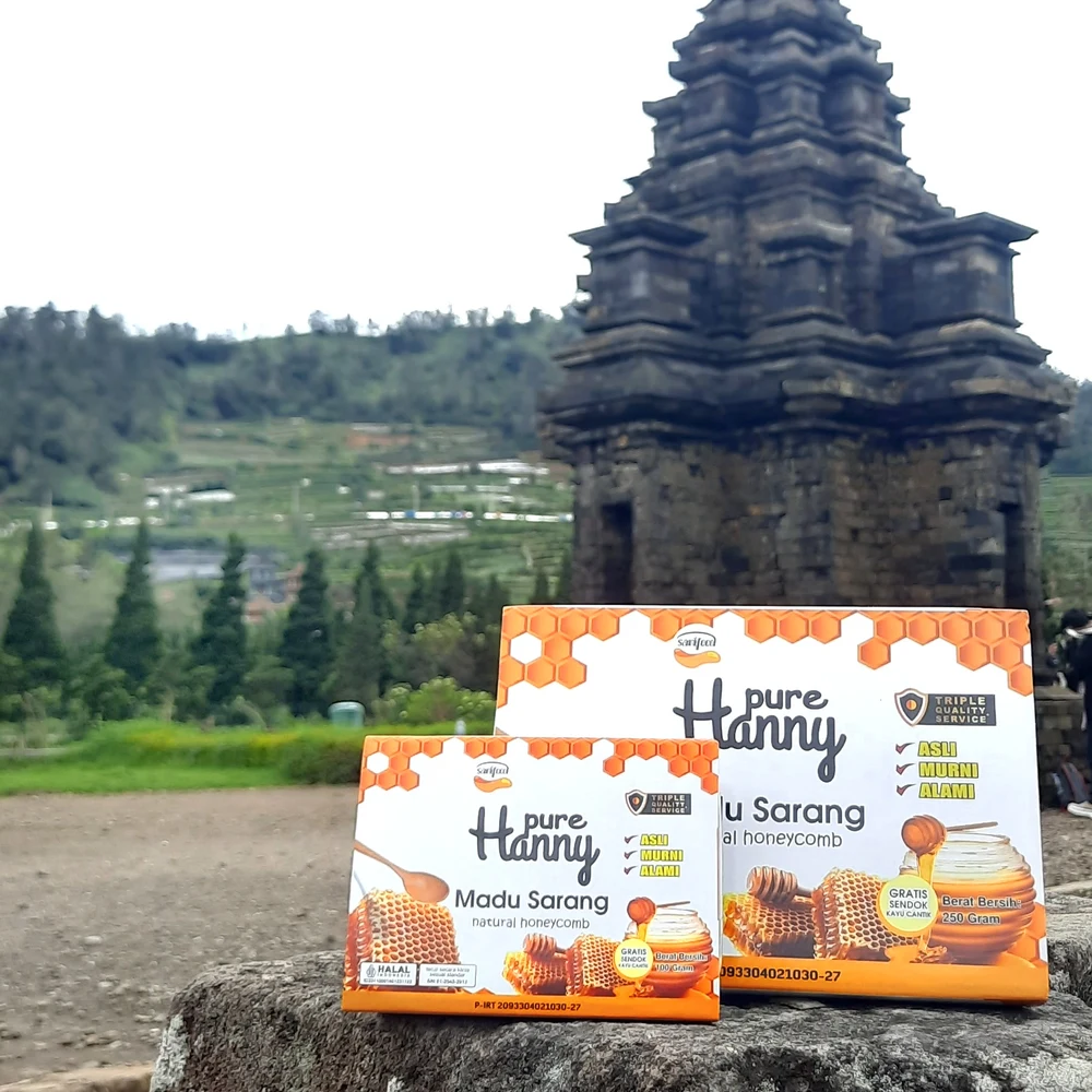 Tekstur Sel Sarang Lebah Apis mellifera Murni Tersegel Alami