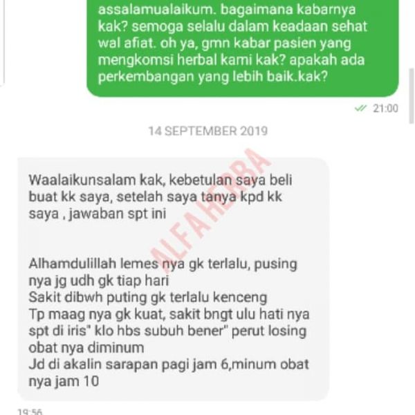 obat herbal kanker dan tumor dari MD HERbal alami tanpa operasi